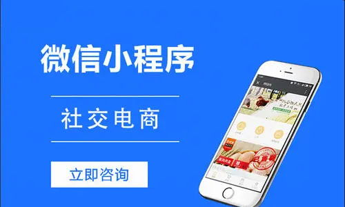 電商小程序開(kāi)發(fā)幫助企業(yè)打造移動(dòng)社交電商環(huán)境